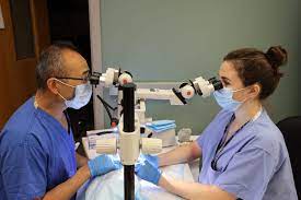 "microsurgery" picture