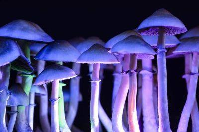 "hallucinogenic" picture