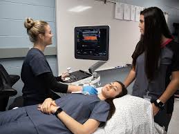 "sonography" picture