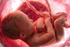 "unborn" picture