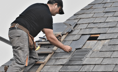 "shingle" picture