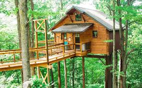 "tree house" picture