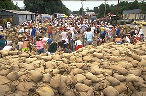 "sandbag" picture
