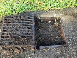 "cesspit" picture
