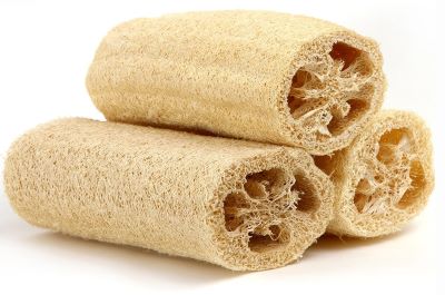 "loofah" picture