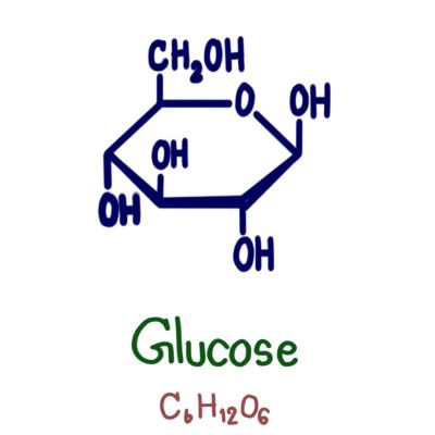 "glucose" picture