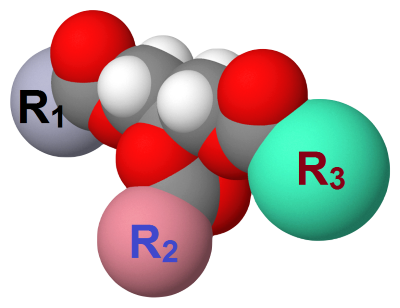 "triglyceride" picture