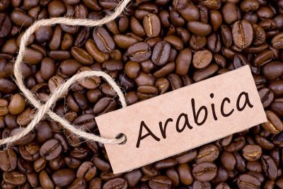 "arabica" picture