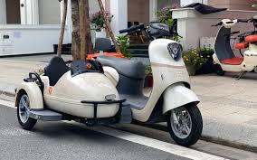 "sidecar" picture