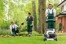"yardwork" picture
