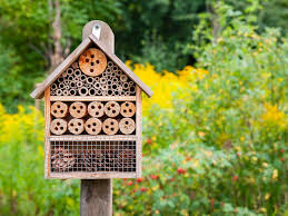 "bee house" picture