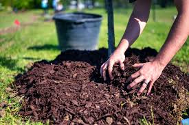 "mulch" picture