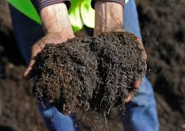 "peat" picture