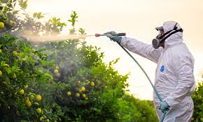 "insecticide" picture