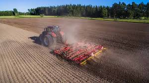 "seedbed" picture