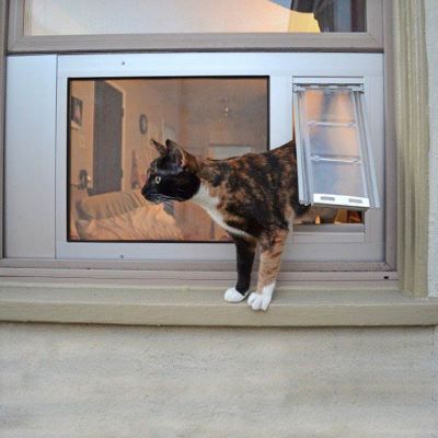 "cat door" picture