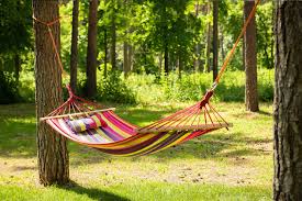 "hammock" picture