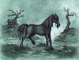 "kelpie" picture