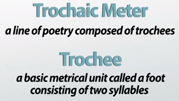 "trochee" picture