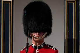 "bearskin" picture