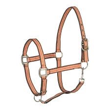 "halter" picture