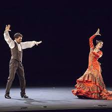 "flamenco" picture