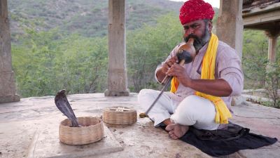 "snake charmer" picture