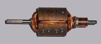 "armature" picture