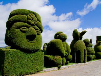 "topiary" picture