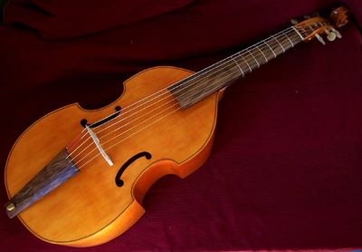 "viol" picture