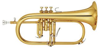 "flugelhorn" picture
