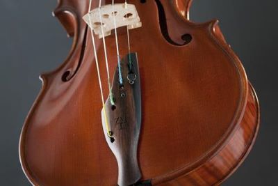"tailpiece" picture