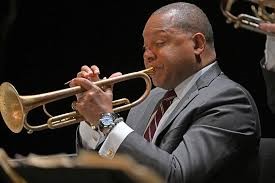 "trumpeter" picture