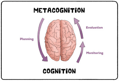 "metacognition" picture