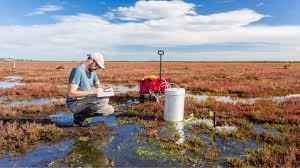 "fieldwork" picture