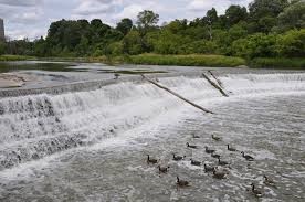 "weir" picture