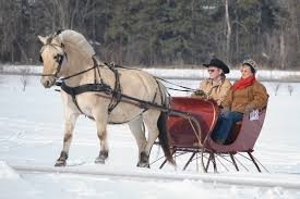 "sleigh" picture