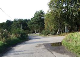 "dogleg" picture