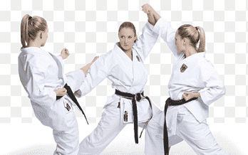 "hapkido" picture