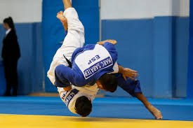 "judoka" picture