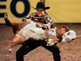 "rodeo" picture