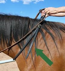 "rein" picture
