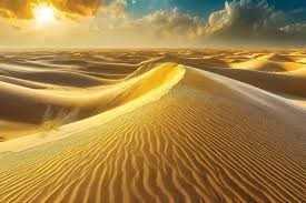 "sand dune" picture