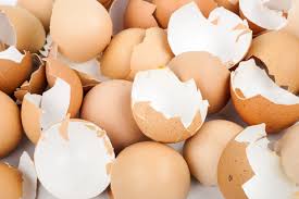 "eggshell" picture