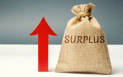 "budget surplus" picture