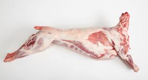 "carcass" picture