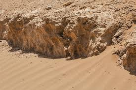 "arenaceous" picture