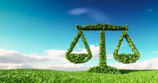 "natural law" picture