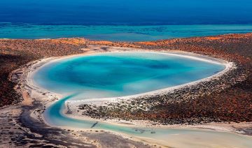 "lagoon" picture