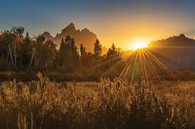 "sunburst" picture